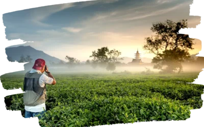 El Poder de la Fotografía en Espacios de Trabajo.