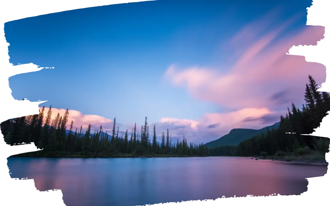 Cómo la Fotografía Natural Potencia Ambientes Sofisticados