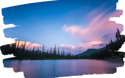 Cómo la Fotografía Natural Potencia Ambientes Sofisticados