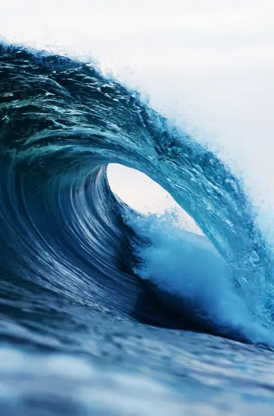 Olas